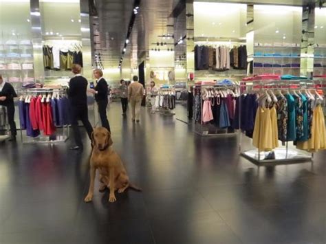 montevarchi prada|How to Shop the Prada Outlet in Florence .